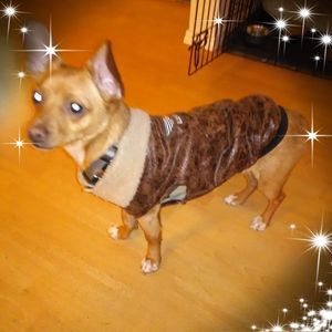 Meet your Posher, Christine